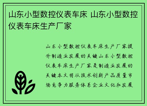 山东小型数控仪表车床 山东小型数控仪表车床生产厂家